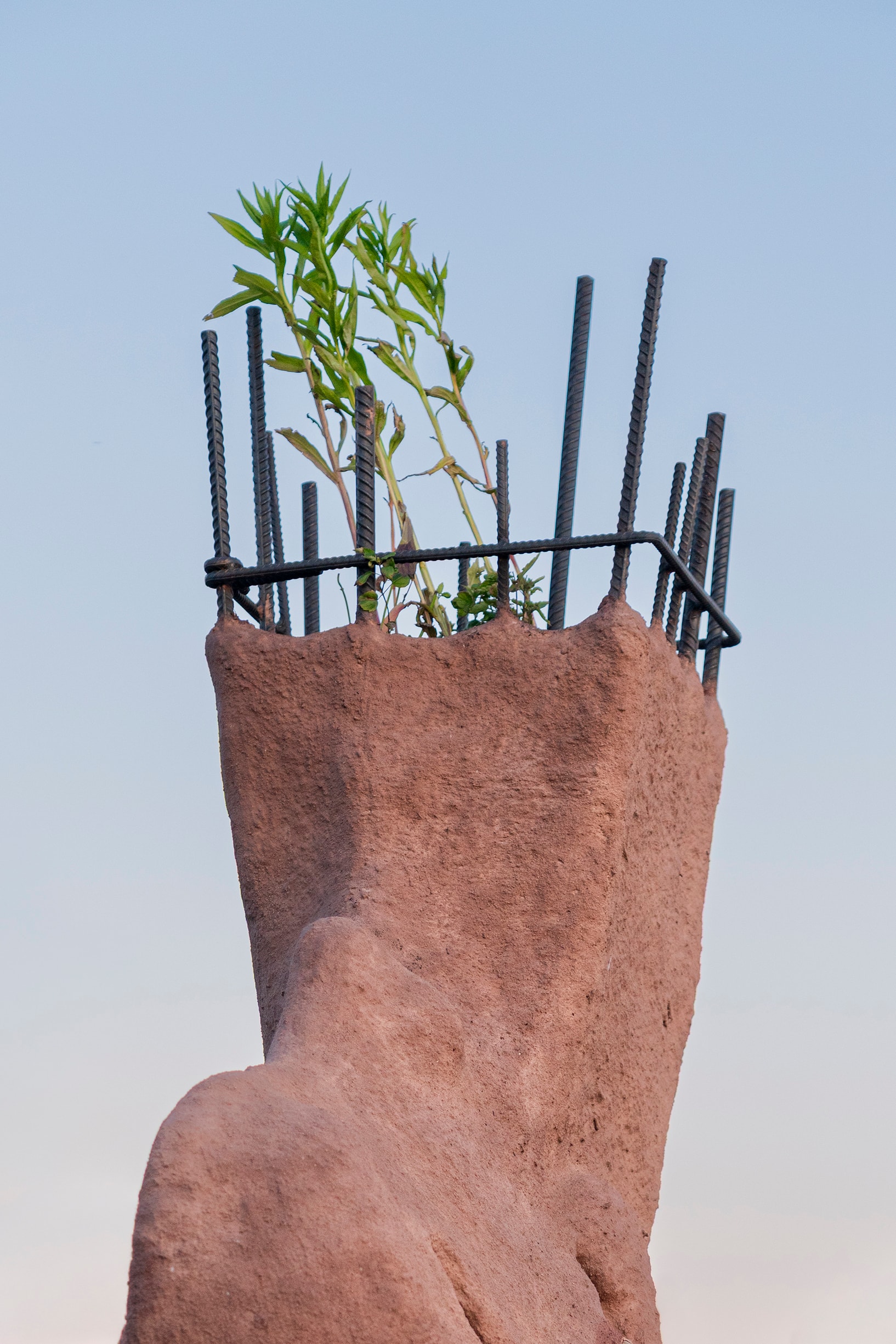 A reddish-brown, textured sculpture with rebar emerging from its top, forming a cage-like structure. Green plants grow among the rebar, set against a light blue sky.