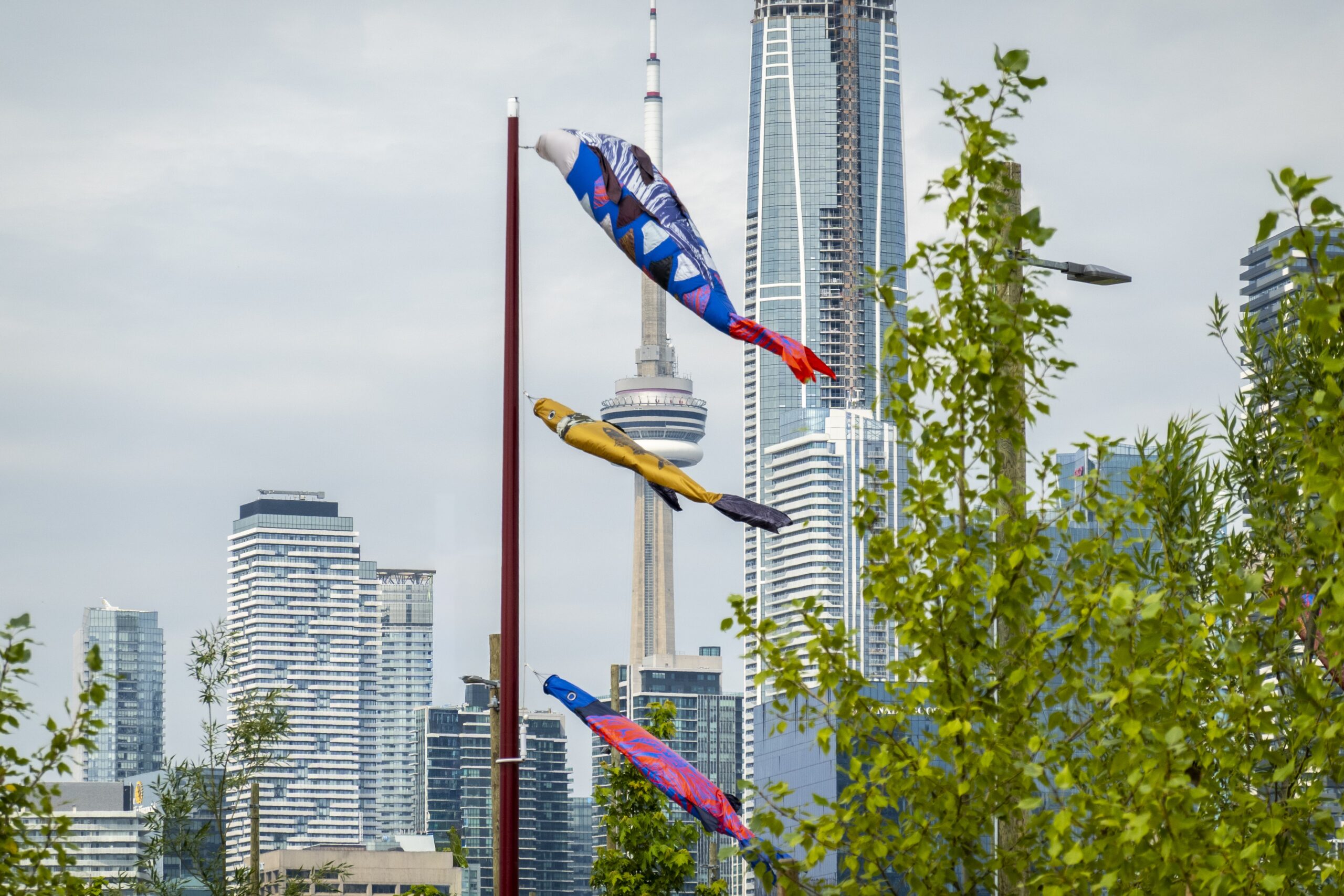 Several colorful, fish-shaped windsocks fly from tall blue and orange poles above a gravel path. Young trees and green ground cover line the path, with a city skyline visible in the distance under a light gray sky.